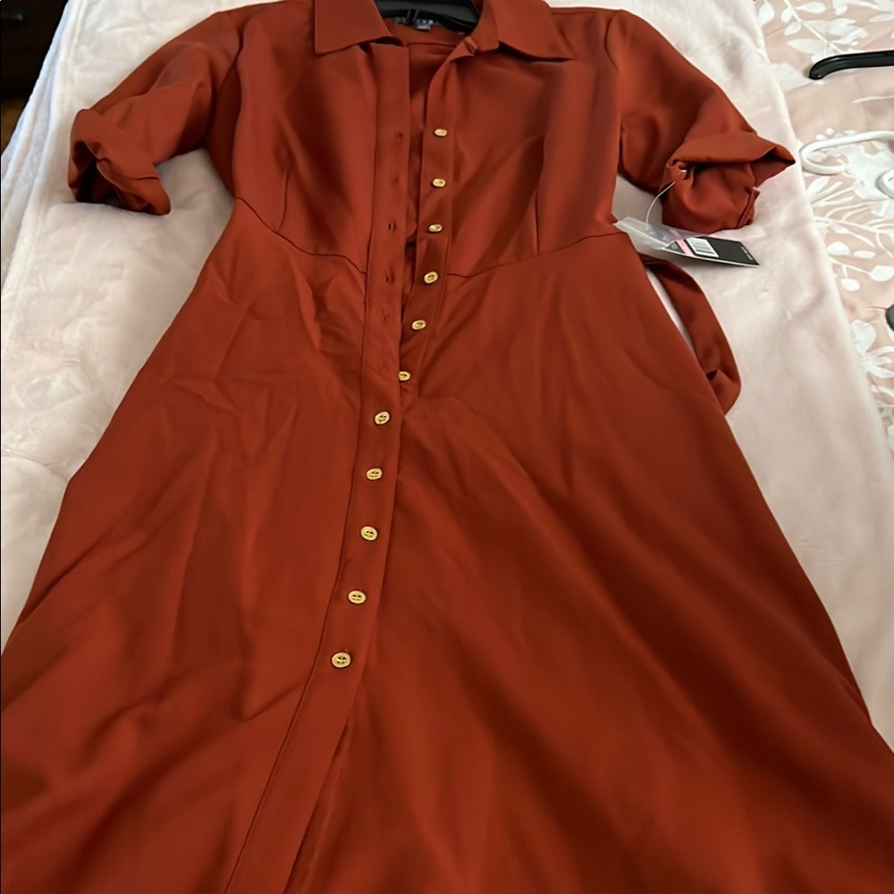 Elegant Rust Button-Down Dress